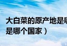 大白菜的原产地是哪个国家（大白菜的原产地是哪个国家）