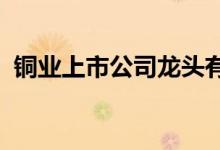 铜业上市公司龙头有哪些铜业股票概念一览