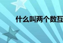 什么叫两个数互质（具体点谢啦！）