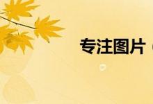 专注图片（专注曾宝仪）