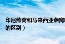 印尼燕窝和马来西亚燕窝哪种好（印尼燕窝和马来西亚燕窝的区别）