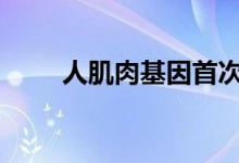 人肌肉基因首次插入面包酵母DNA