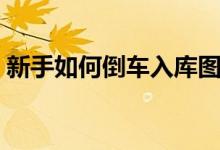 新手如何倒车入库图解（新手如何倒车入库）