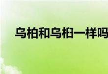 乌柏和乌桕一样吗（乌柏和乌桕一样吗）