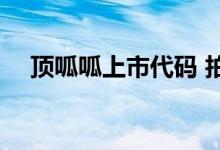 顶呱呱上市代码 拍呱呱股票代码是什么 