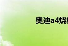奥迪a4烧机油怎么解决 