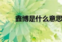 鑫博是什么意思（博鑫指的是什么）