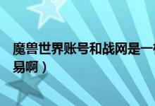 魔兽世界账号和战网是一样的吗（魔兽世界是战网的还是网易啊）