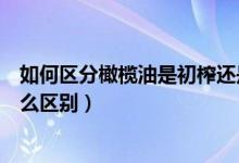 如何区分橄榄油是初榨还是精榨（橄榄油初榨和压榨都有什么区别）
