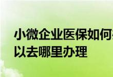 小微企业医保如何办理缓缴 小微企业医保可以去哪里办理 