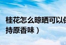 桂花怎么晾晒可以保持香味（桂花怎样晒制保持原香味）