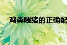 鸡粪喂猪的正确配方（鸡粪喂猪怎么做）