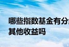 哪些指数基金有分红 指数基金除了分红还有其他收益吗
