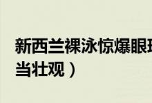 新西兰裸泳惊爆眼球（745人集体游泳场面相当壮观）