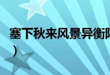 塞下秋来风景异衡阳雁去无留意（是什么意思）