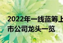 2022年一线蓝筹上市公司有哪些一线蓝筹上市公司龙头一览