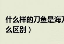 什么样的刀鱼是海刀鱼（养殖刀鱼和海刀鱼怎么区别）