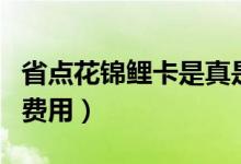 省点花锦鲤卡是真是假（它开通需不需要缴纳费用）