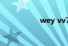 wey vv7是什么牌子 