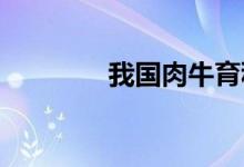 我国肉牛育种取得重大突破