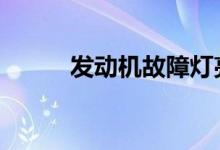 发动机故障灯亮了又灭了正常吗 