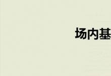 场内基金有哪些？