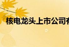 核电龙头上市公司有哪些（核电股票名单）