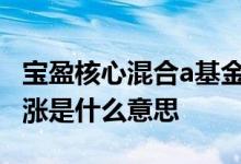 宝盈核心混合a基金净值估值 基金净值跌估值涨是什么意思