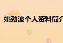 姚劲波个人资料简介（2021年身价有多少）