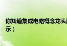 你知道集成电路概念龙头股都有哪些（集成电路龙头股全揭示）