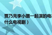 贾乃亮李小璐一起演的电视剧（李小璐老公贾乃亮一起演过什么电视剧）