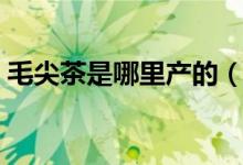 毛尖茶是哪里产的（正宗毛尖茶产地是哪里）