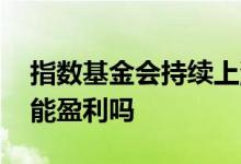 指数基金会持续上涨吗 指数基金指数上涨就能盈利吗