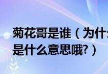 菊花哥是谁（为什么大家叫我菊花哥?菊花哥是什么意思哦?）