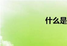 什么是指数基金？