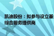 凯迪股份：拟参与设立基金投资于全球领先的全钒液流电池综合服务提供商