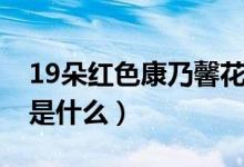 19朵红色康乃馨花语（19朵红色康乃馨花语是什么）