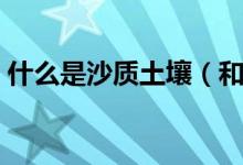 什么是沙质土壤（和什么是肥沃的沙质土壤）