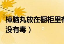 樟脑丸放在橱柜里有毒吗（放衣柜的樟脑丸有没有毒）