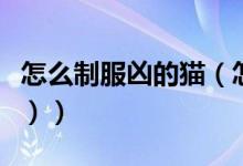 怎么制服凶的猫（怎么驯服特别凶的猫（图文））