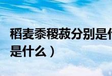 稻麦黍稷菽分别是什么意思（稻麦黍稷菽分别是什么）