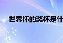 世界杯的奖杯是什么名字（是纯金的吗）