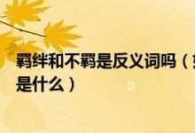 羁绊和不羁是反义词吗（如果不是那羁绊和不羁的反义词各是什么）