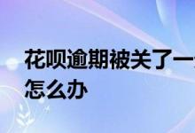 花呗逾期被关了一天怎么办 花呗逾期被关了怎么办