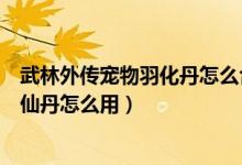 武林外传宠物羽化丹怎么合成新宠物（武林外传的宠物羽化仙丹怎么用）