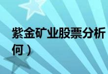 紫金矿业股票分析（紫金矿业601899股票如何）