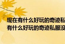 现在有什么好玩的奇迹私服没有！奇迹现在收费不?（现在有什么好玩的奇迹私服没有！奇迹现在收费不?）