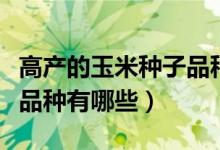 高产的玉米种子品种有哪些（高产的玉米种子品种有哪些）