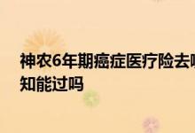 神农6年期癌症医疗险去哪买 神农6年期癌症医疗险健康告知能过吗