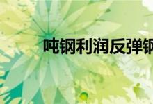 吨钢利润反弹钢厂开工率明显提升